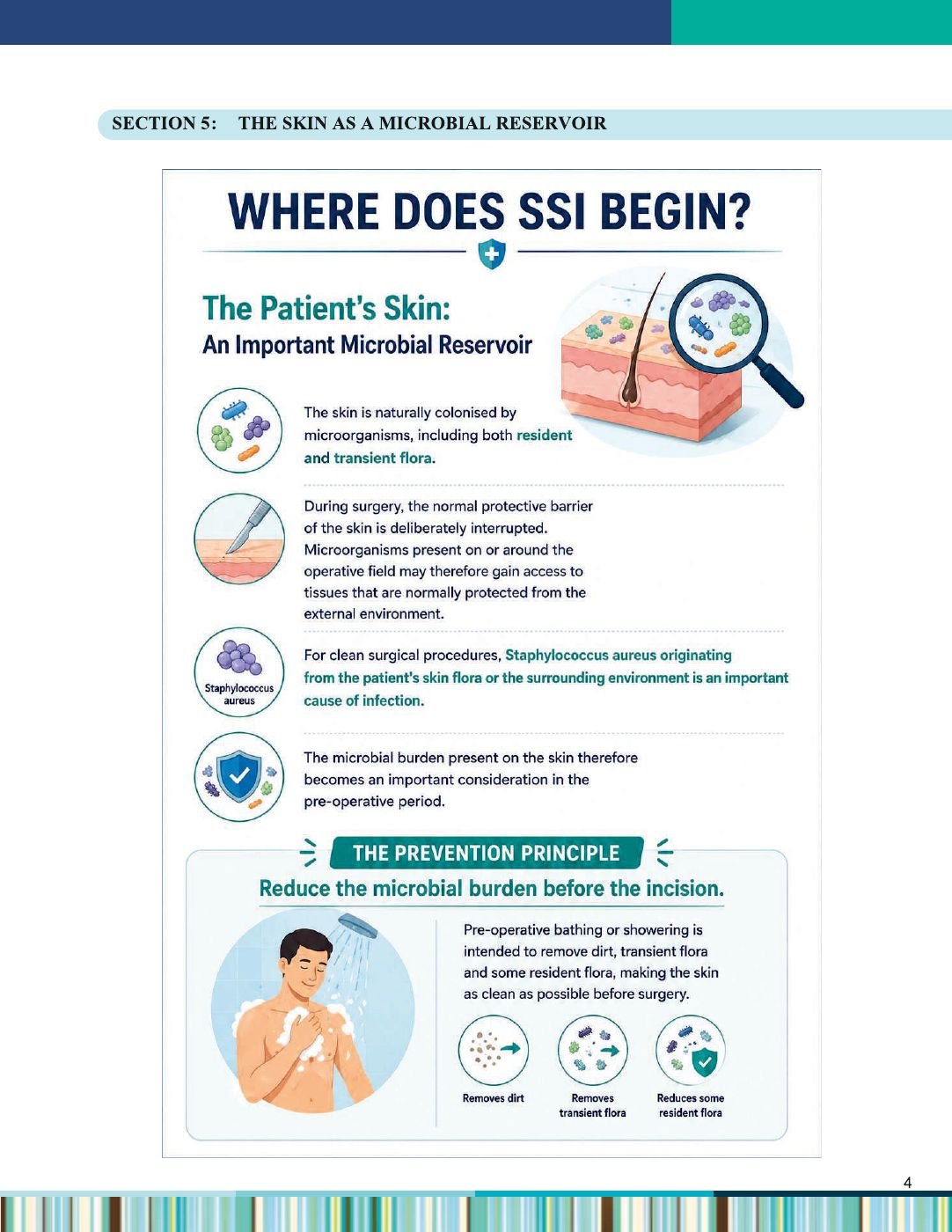 XEPI Surgibath CHG monograph - page 7